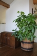 Bild - ACHTUNG! EXCLUSIVE FERIENWOHNUNG – Penthouse mit Garten und Blick über das Inntal!