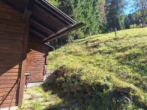 Bild - ACHTUNG! Almhütte mit legalem Freizeitwohnsitz samt großem Grundstück